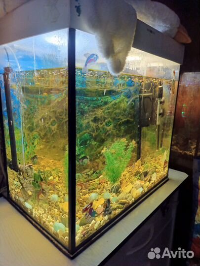 Аквариум