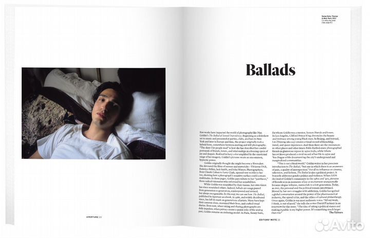 Новая книга Ballads: Aperture 239. Nan Goldin