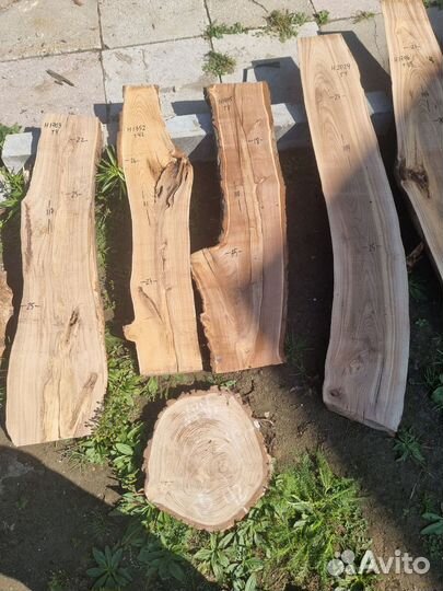 Слэб карагача