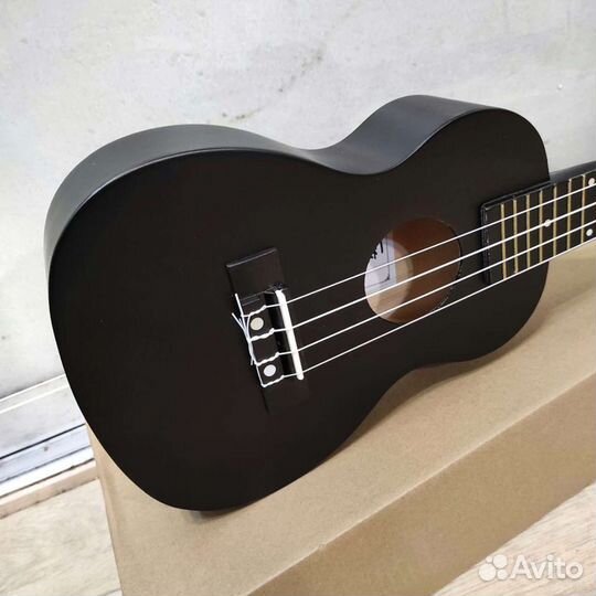 Укулеле новая концерт