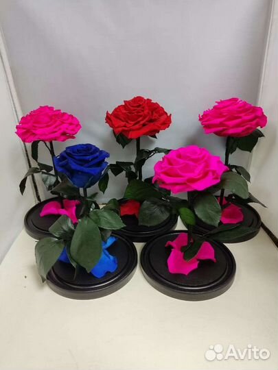 Роза в колбе оптом и в розницу