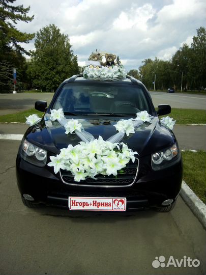 Катаем свадьбу