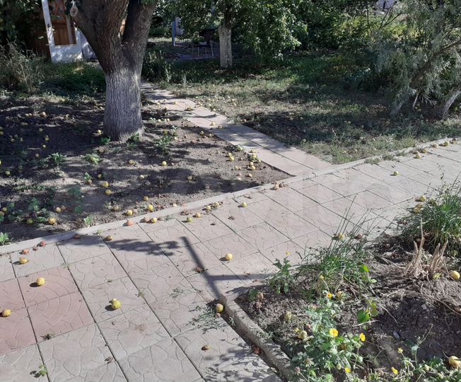 Дом 93 м² на участке 15 сот.