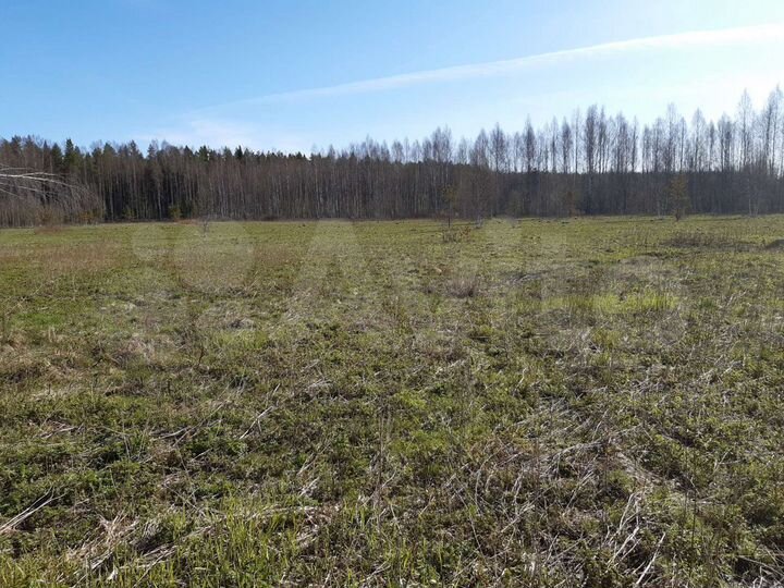 Участок 2,5 га (СНТ, ДНП)