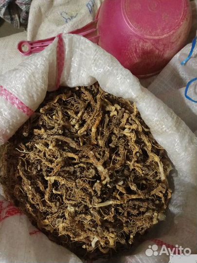 Купена таёжная. 100г Свежий сбор