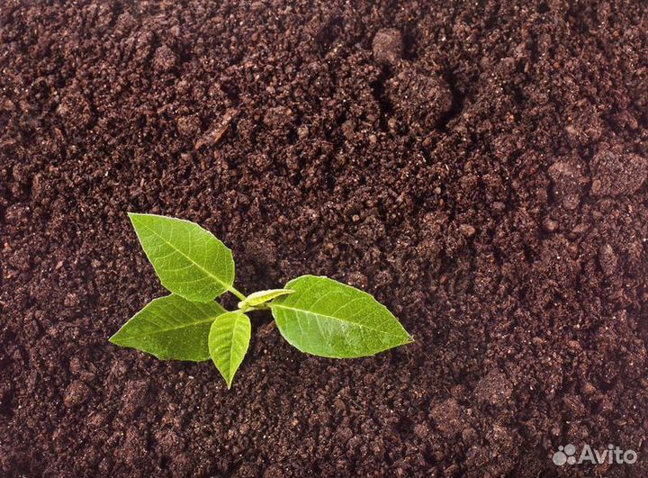 Грунт растительный