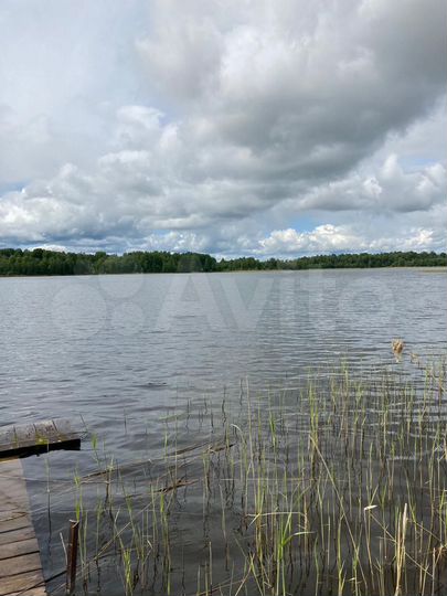 Дом 100 м² на участке 36 сот.