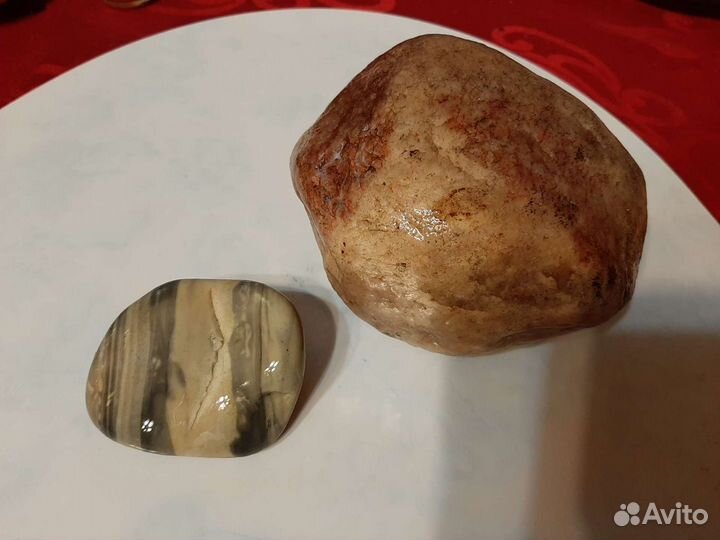 Ракушки,грунт