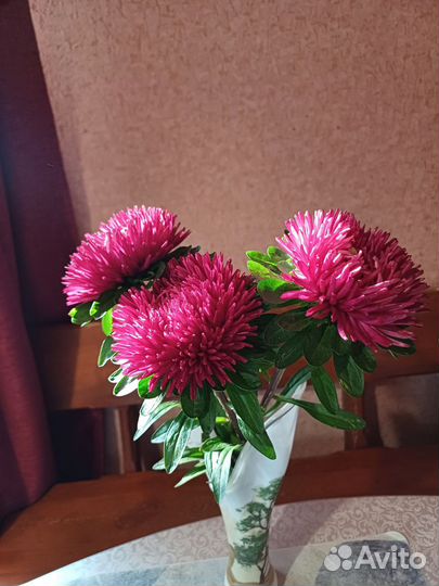 Астры букет