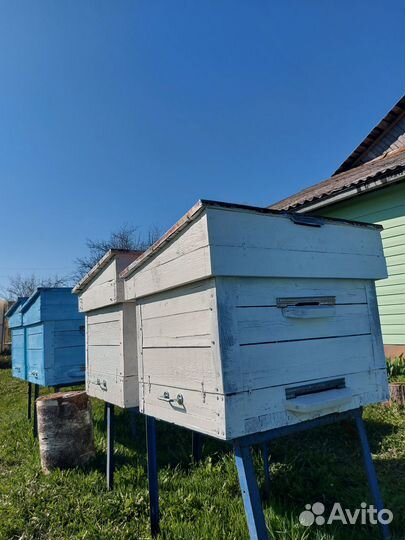 Домики для пчел