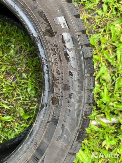 Pirelli Formula Ice 205/55 R16