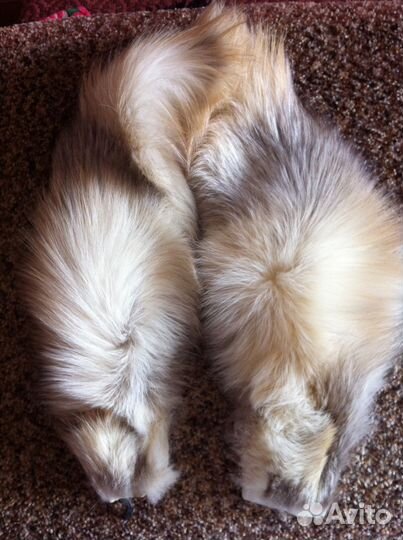 Меховые воротники и шкурки