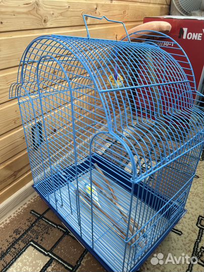 Клетка для крупного попугая