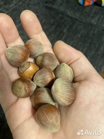 Нутела дешовый оналог