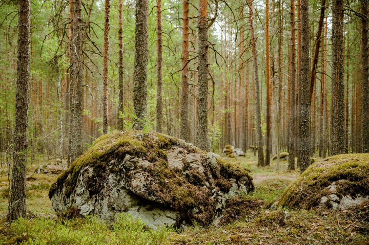 Участок 2 га (СНТ, ДНП)