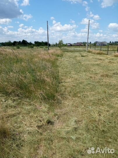 Покос травы