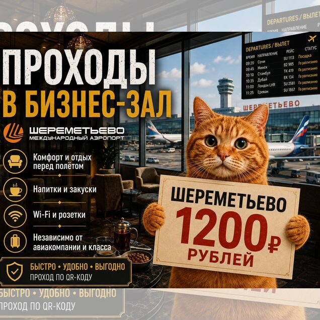 Проход в бизнес залы Шереметьево