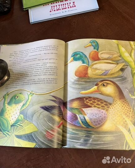 Гаршин В.М. Лягушка-путешественница