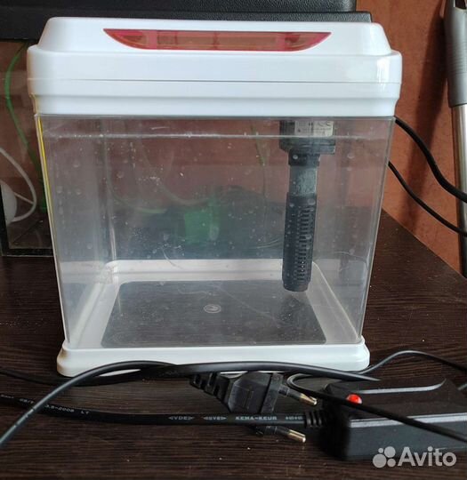 Аквариум для петушка