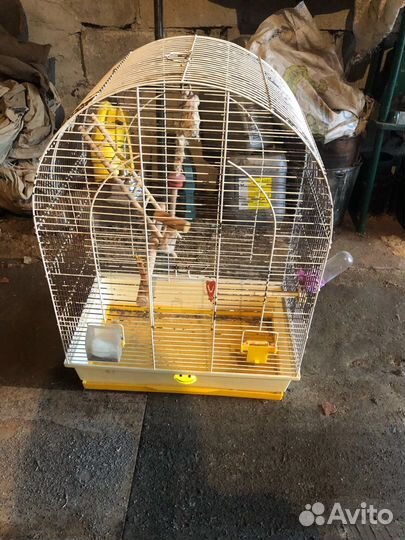 Клетка для попугая