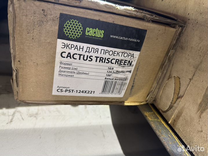 Экран Cactus Triscreen CS-PST-124x221
