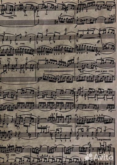 Репетитор по сольфеджио для школьников