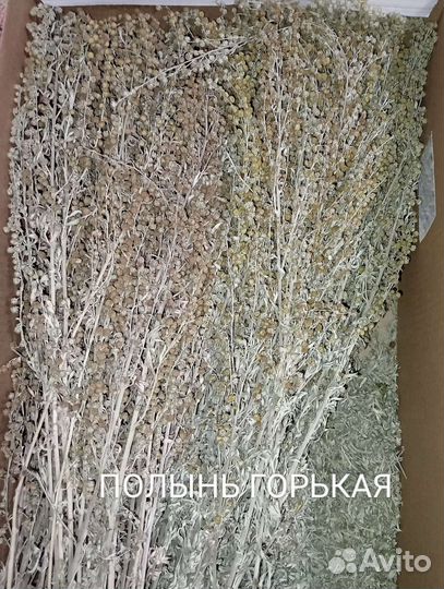 Сухие травы