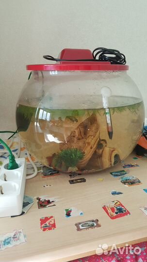 Аквариум