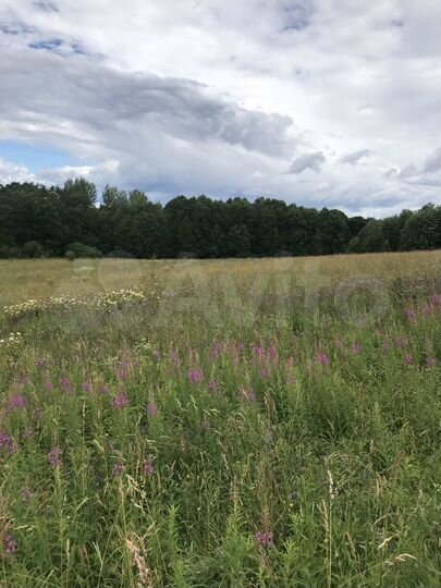 Участок 90 сот. (ИЖС)