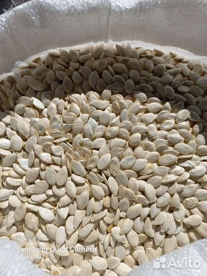 Семечки тыквы