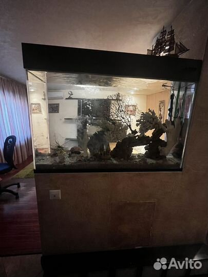 Аквариум