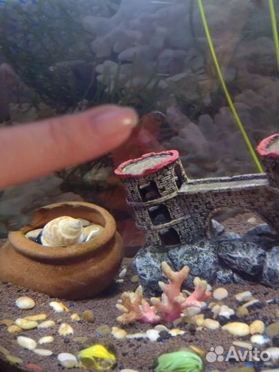 Аквариум tetra 30 литров