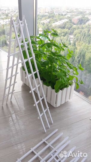 Опоры новые для вьющихся растений