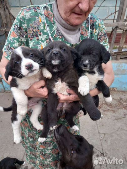 Милые мальчишки