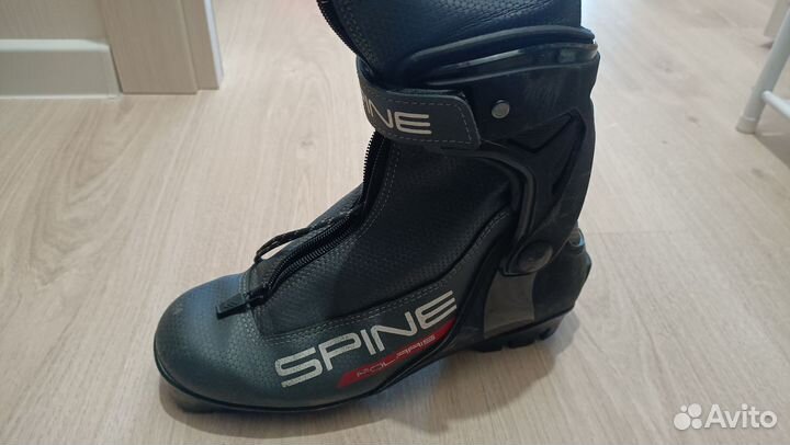 Лыжные ботинки spine