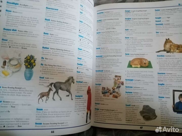 Англо русский словарь детский