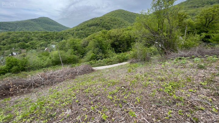 Участок 4,3 сот. (СНТ, ДНП)