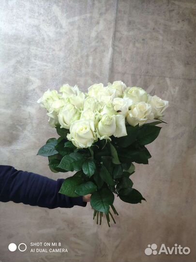 Роза хризантема гвоздика букет цветы