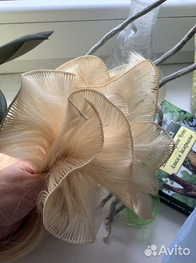 Голливудское Наращивание, микро кольца