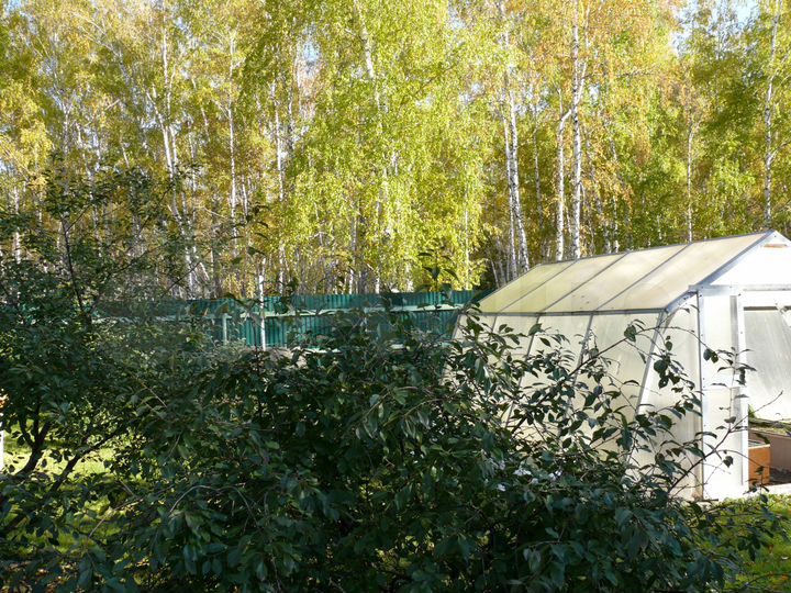 Коттедж 250 м² на участке 19 сот.