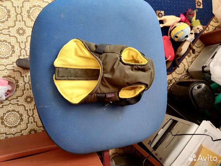 Одежда для собак мелких пород