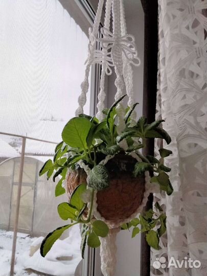 Кашпо подвесное макраме