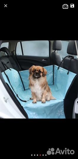 Защита машины от собак и кошек