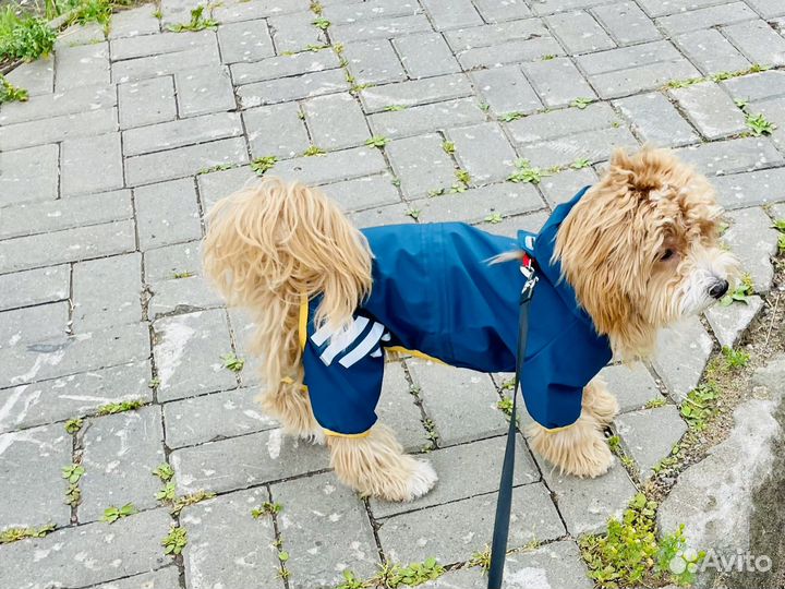 Дождевик комбинезон для малых и средних пород