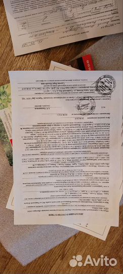 Аппарат для мужчин