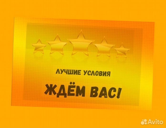 Оператор линии Без опыта Еженедельные выплаты