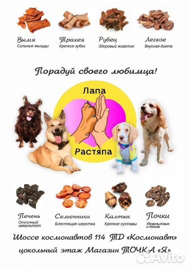 Угощения для собак