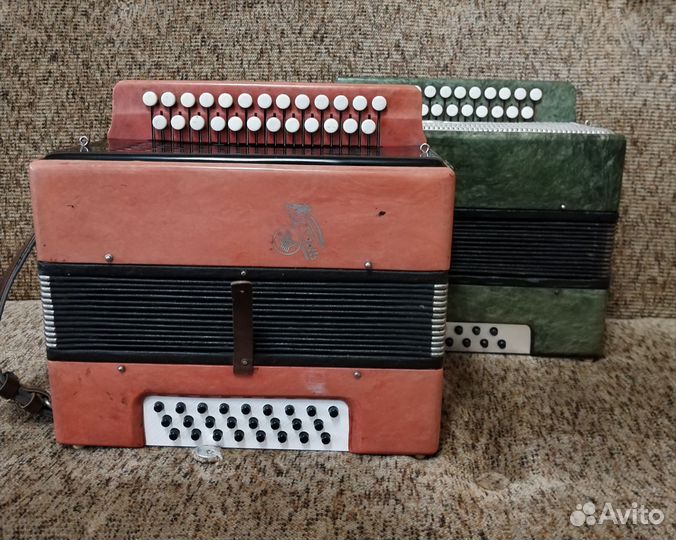 Гармонь Кубань