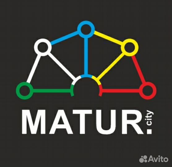 Чарджер/Водитель на замену акб на электросамокатах