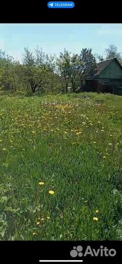 Расчистка участка